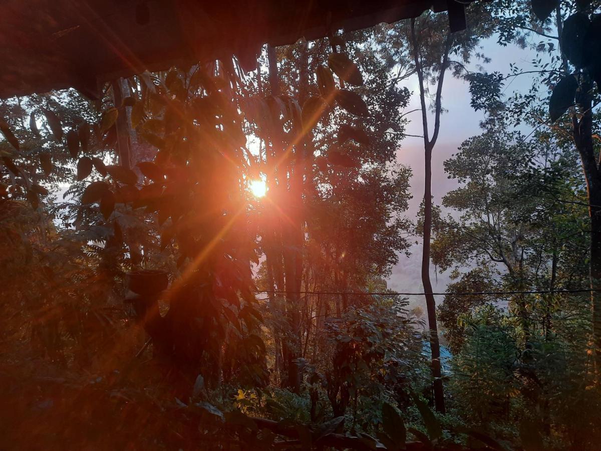 Dulmini Homestay Ella Bagian luar foto