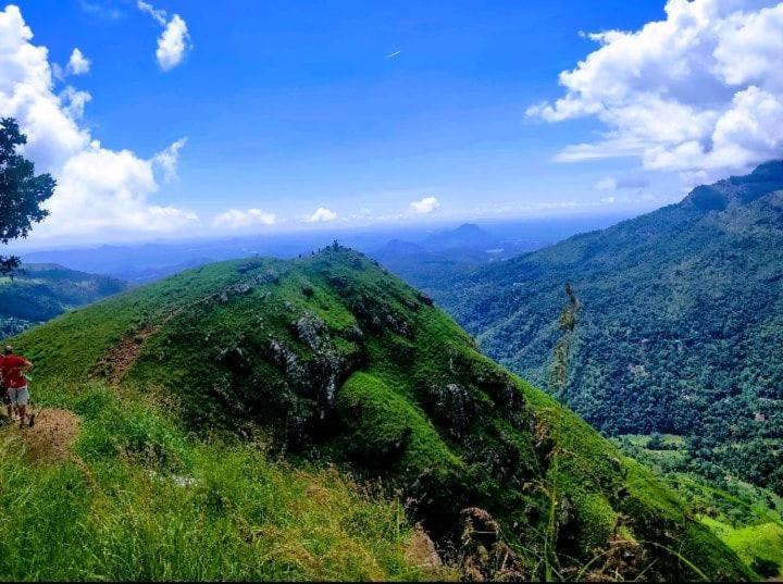 Dulmini Homestay Ella Bagian luar foto